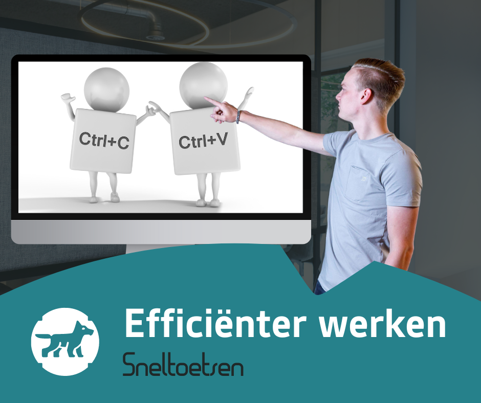 Efficiënter werken Visual InventIT 6 - Efficiënter werken