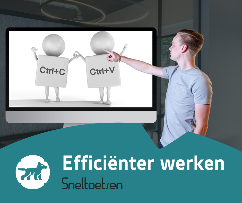 Visual InventIT 6 - Efficiënter werken