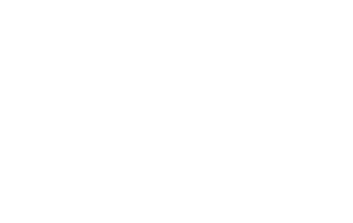 brusse masselink white 320x202 - Team InventIT