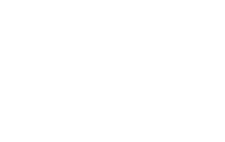 diezit white 320x202 - Team InventIT