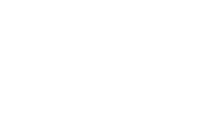 fpcollection white 320x202 - Items