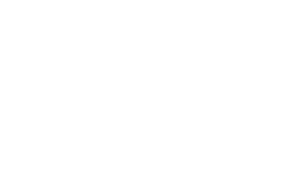 psnederland white 320x202 - Home