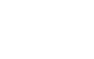 servion white 320x202 - Home