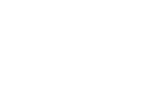 verian white 320x202 - IT in Wierden
